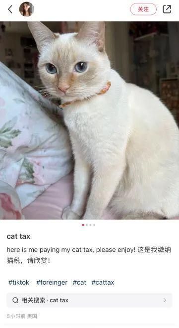 Tok“逃到”小红书美国网友涌入背后的故事AG真人游戏第一品牌弦外音   从Tik(图2)