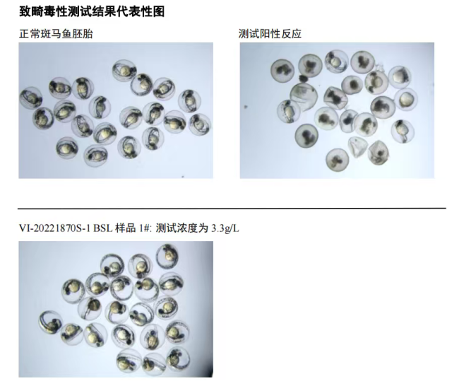 护肤行业的适应调整与发展创新｜行业观察AG真人登录入口化妆品新规背景下孕产(图3)