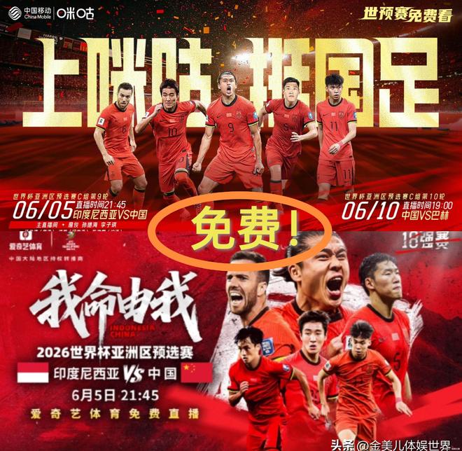 CCTV5停播两平台免费观看！AG真人明晚直播：印尼对阵中国(图12)