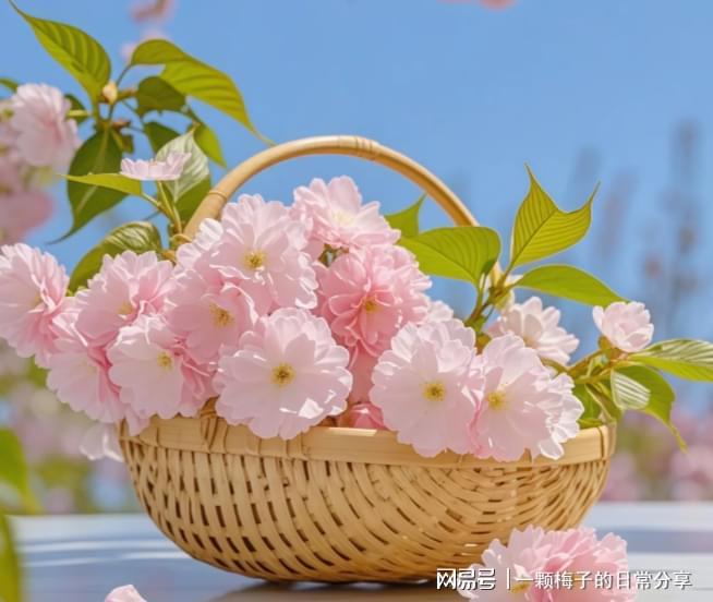 悔没有早点发现这十款！简直太好用了！AG真人app护手霜哪个牌子好？后(图11)